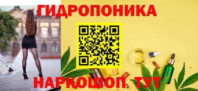 стафф Аргун